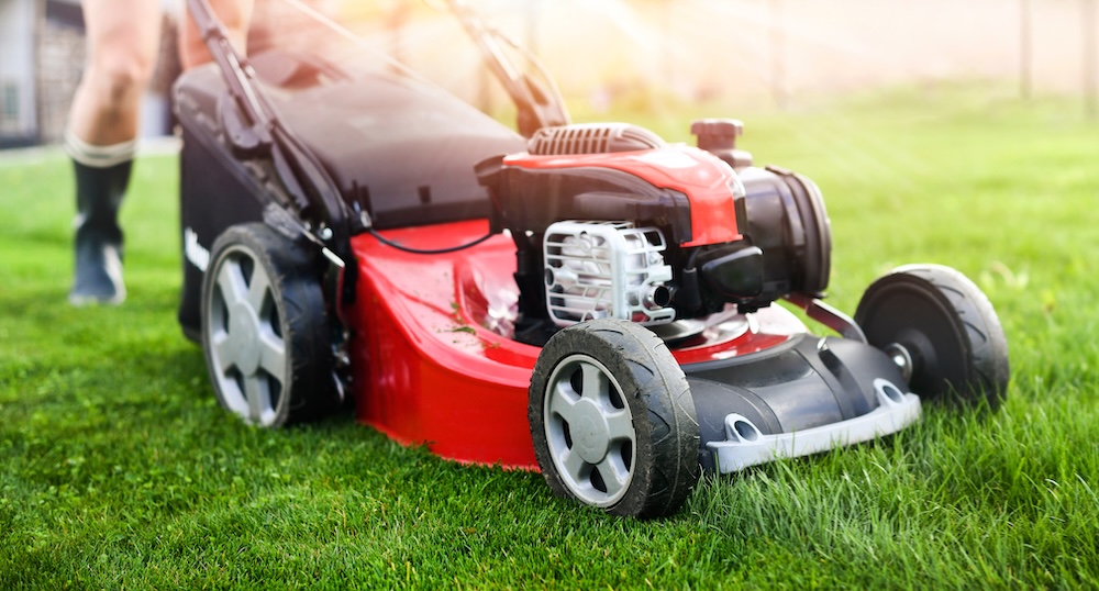 Lawn Mowing & Trimming